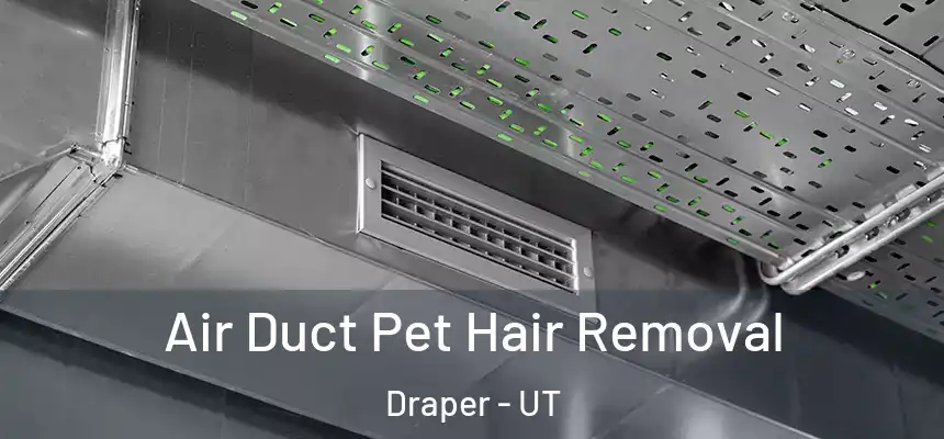  Air Duct Pet Hair Removal Draper - UT