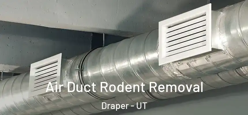  Air Duct Rodent Removal Draper - UT