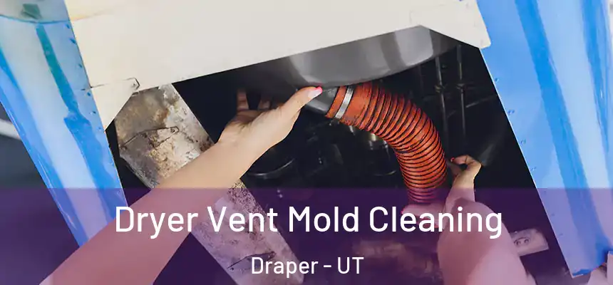 Dryer Vent Mold Cleaning Draper - UT