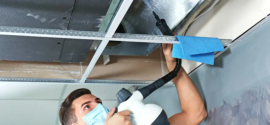 Our Air Duct Rodent Removal Services in Draper, UT