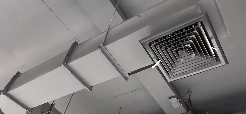 Our Pest Removal From Ducts Services in Draper, UT