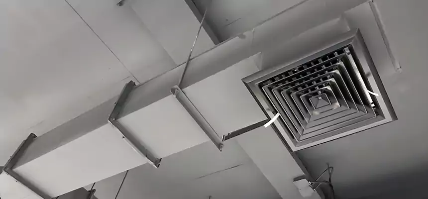 Our Rodent Droppings In Vents Services in Draper, UT