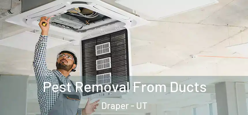 Pest Removal From Ducts Draper - UT