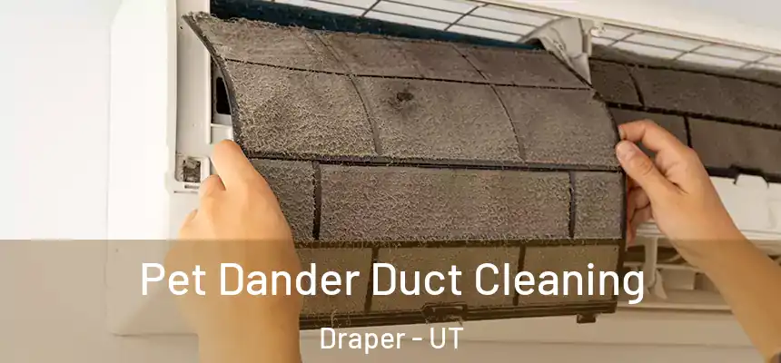 Pet Dander Duct Cleaning Draper - UT