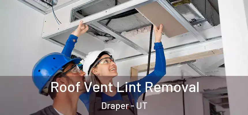 Roof Vent Lint Removal Draper - UT