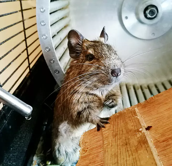 Why Homeowners & Businesses Trust Us Draper, UT?