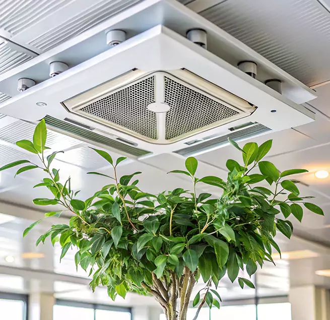 Why Homeowners & Businesses Trust Us in Draper, UT